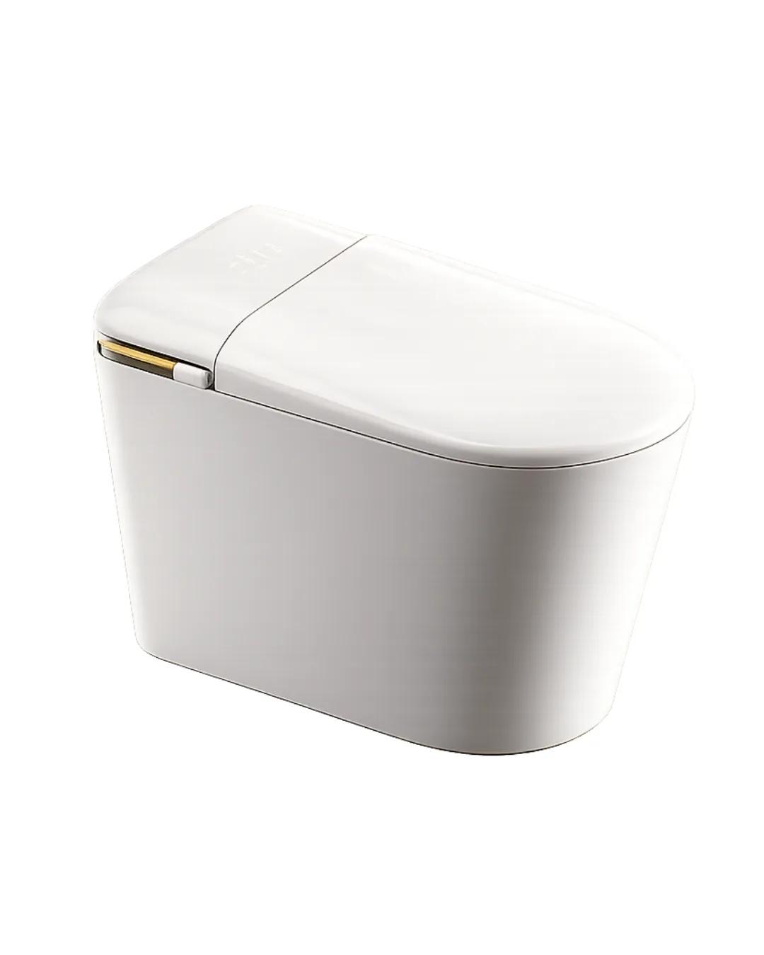 Smart Toilets